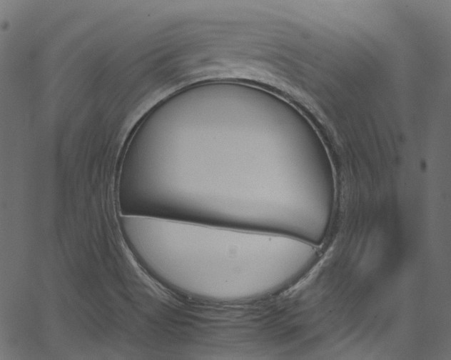 X0000067401513200603311007