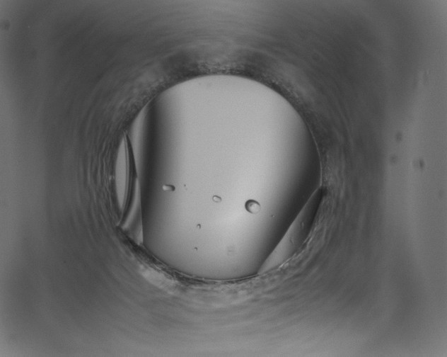 X0000067400025200603311335