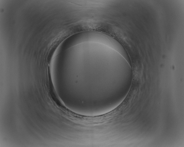 X0000067400027200603311335