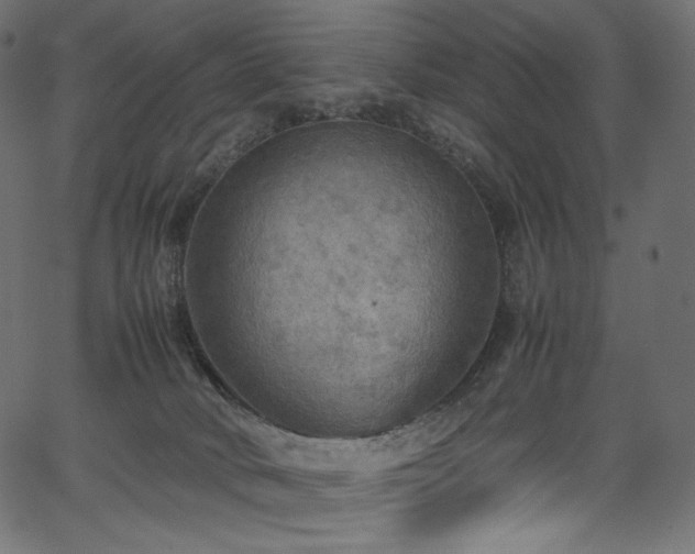 X0000067400034200603311335