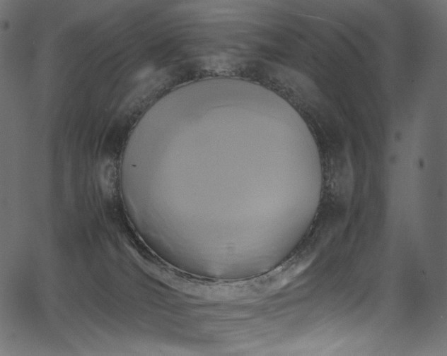 X0000067400036200603311335