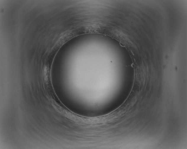 X0000067400038200603311335