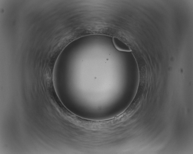 X0000067400040200603311335