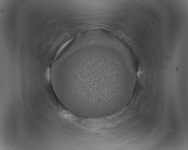 X0000067400041200603311335