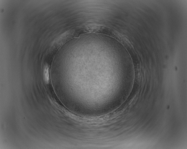 X0000067400042200603311335