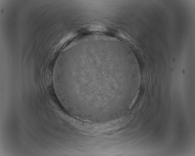 X0000067400043200603311335