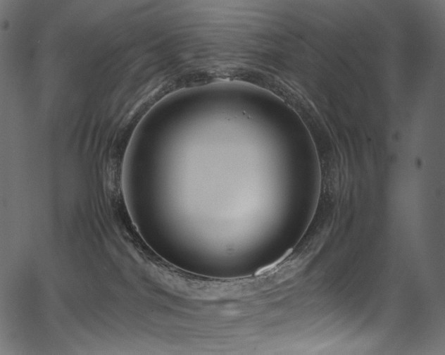 X0000067400044200603311335