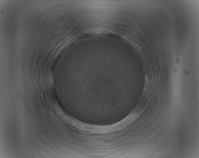 X0000067400048200603311335