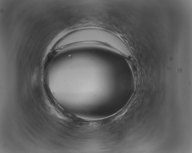 X0000067400056200603311334