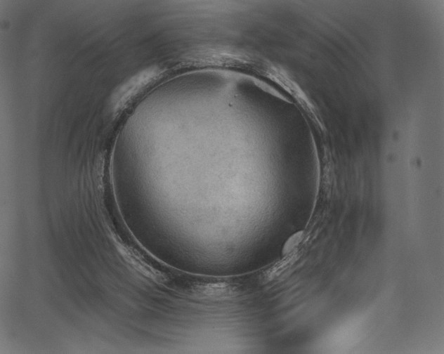X0000067400058200603311334