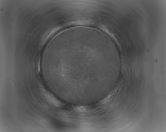 X0000067400062200603311334