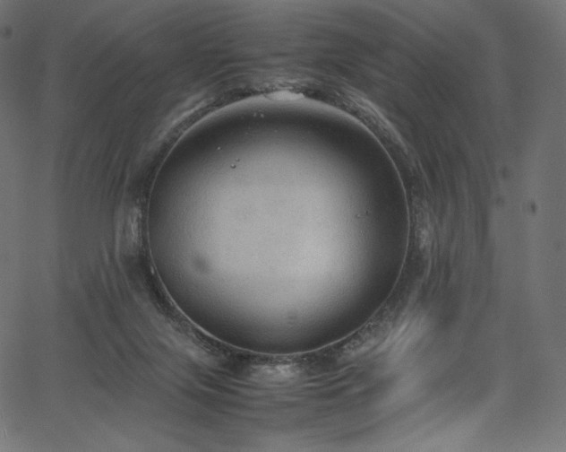 X0000067400071200603311334