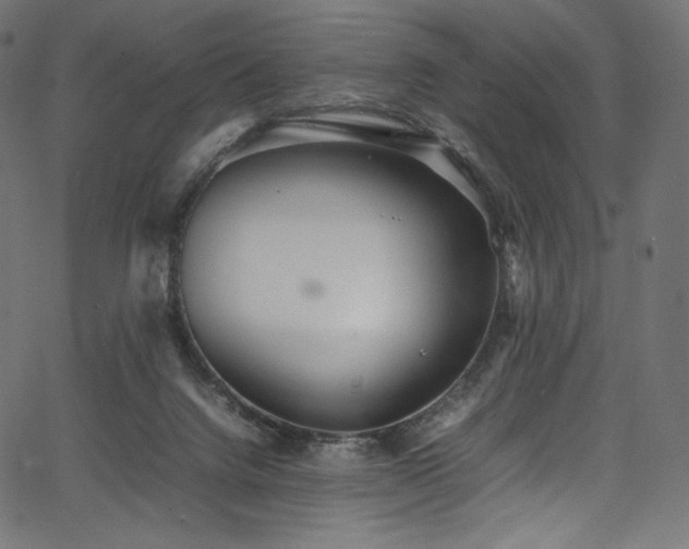 X0000067400072200603311334