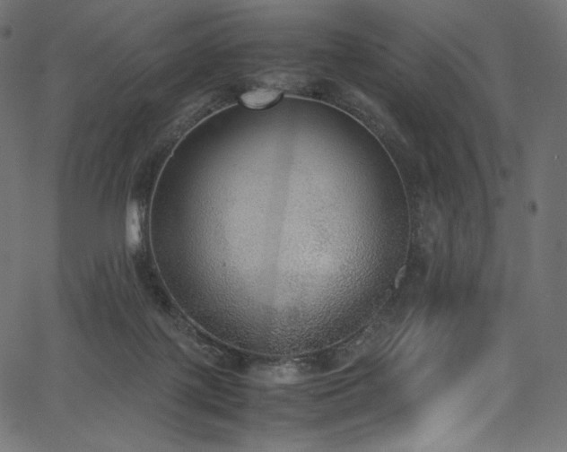 X0000067400075200603311334