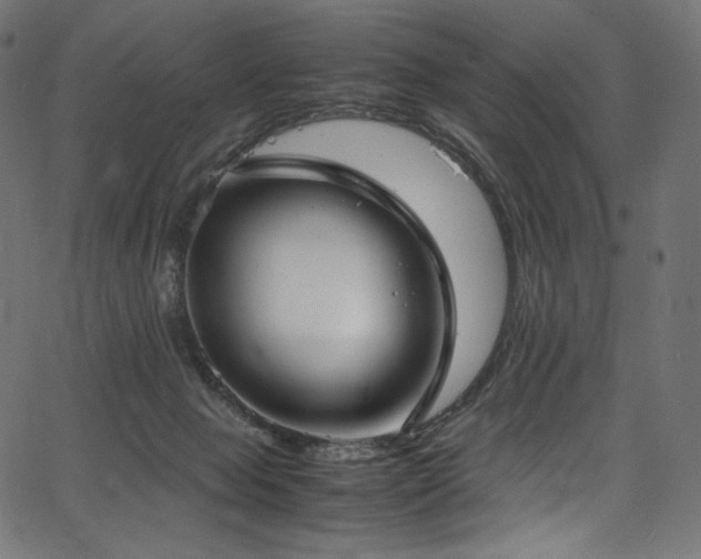 X0000067400077200603311335