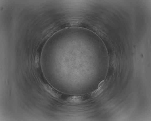 X0000067400082200603311335