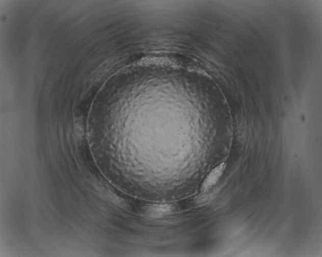X0000067400085200603311335