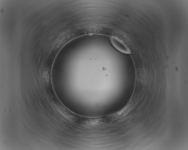 X0000067400086200603311335