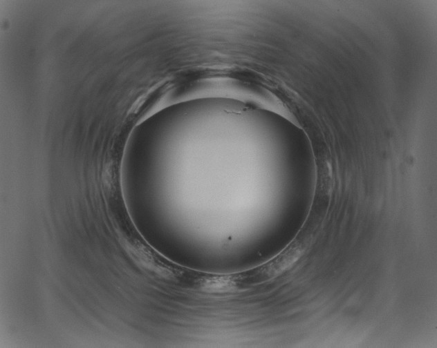X0000067400088200603311335