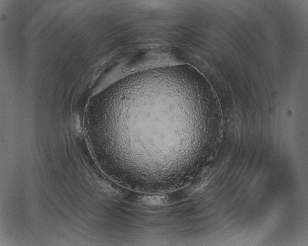 X0000067400089200603311335