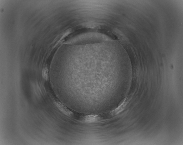X0000067400090200603311335