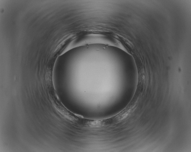X0000067400092200603311335