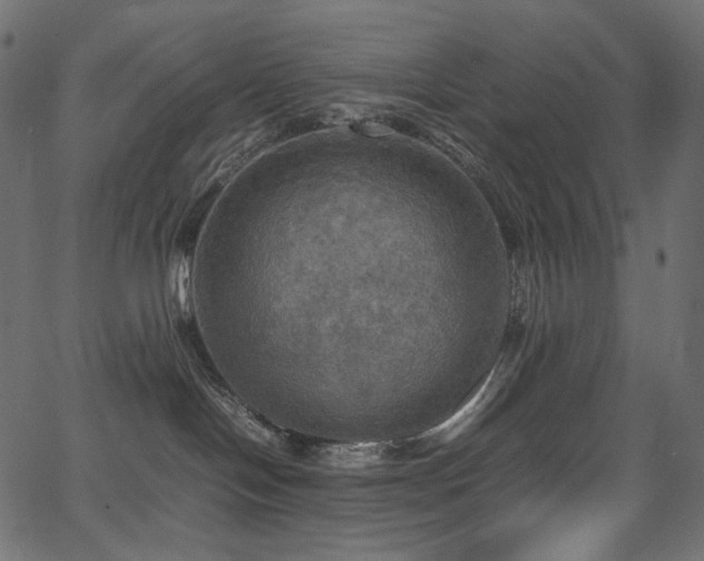 X0000067400094200603311335