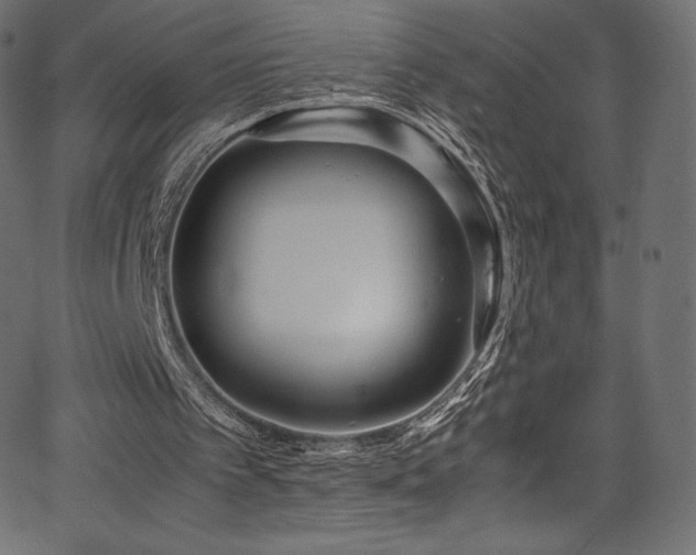 X0000067400097200603311334