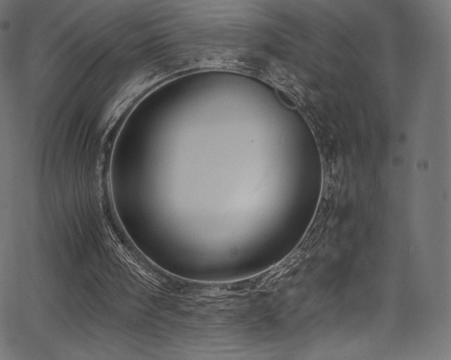 X0000067400098200603311334