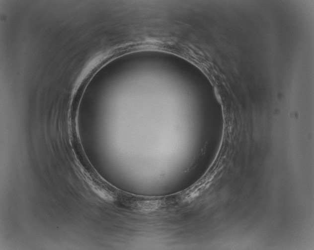 X0000067400102200603311334