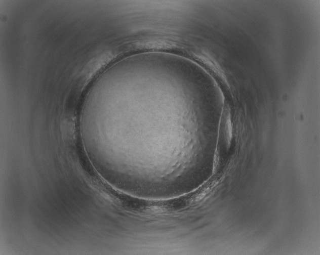 X0000067400111200603311334