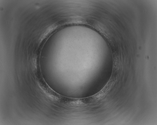 X0000067400112200603311334