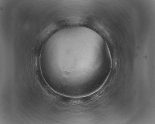 X0000067400115200603311334