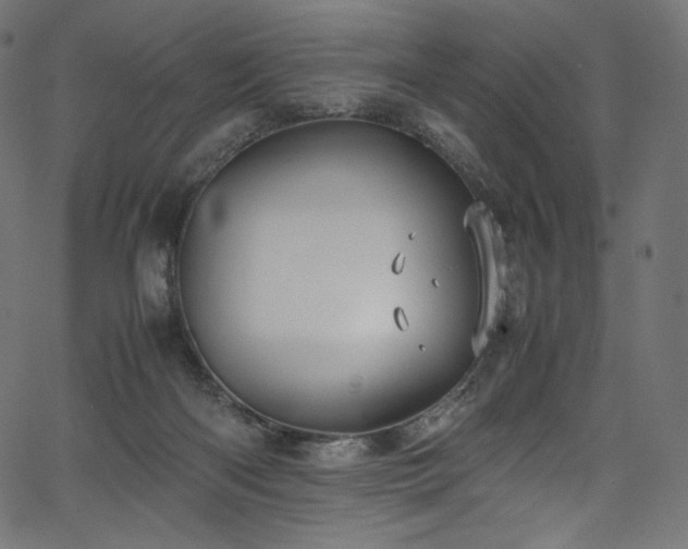 X0000067400122200603311334