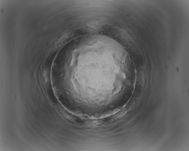 X0000067400131200603311333