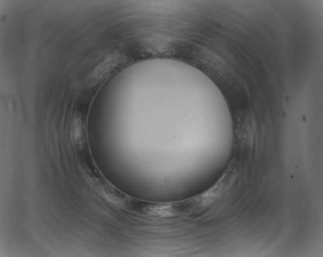 X0000067400132200603311333