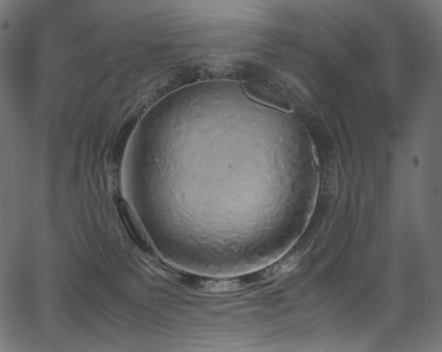 X0000067400135200603311333