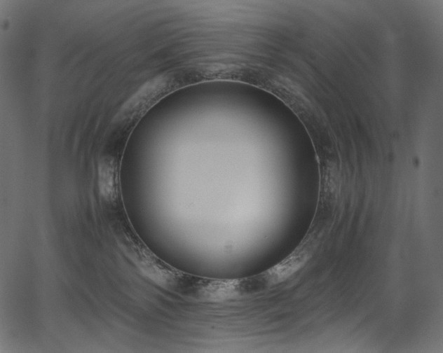 X0000067400138200603311333