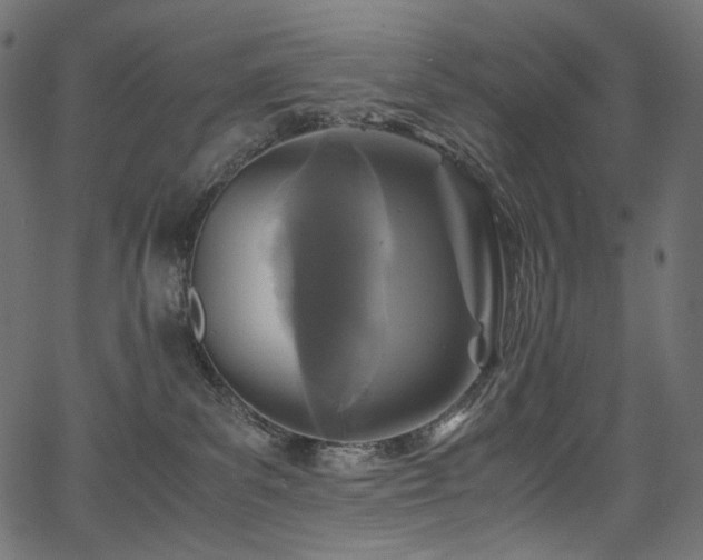 X0000067400139200603311333