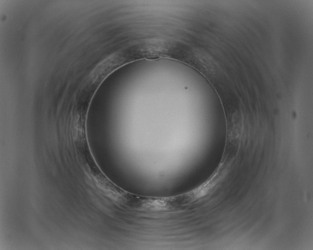 X0000067400140200603311333
