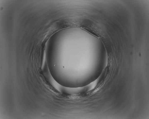 X0000067400141200603311333