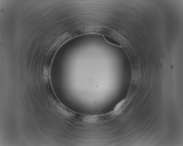 X0000067400142200603311333