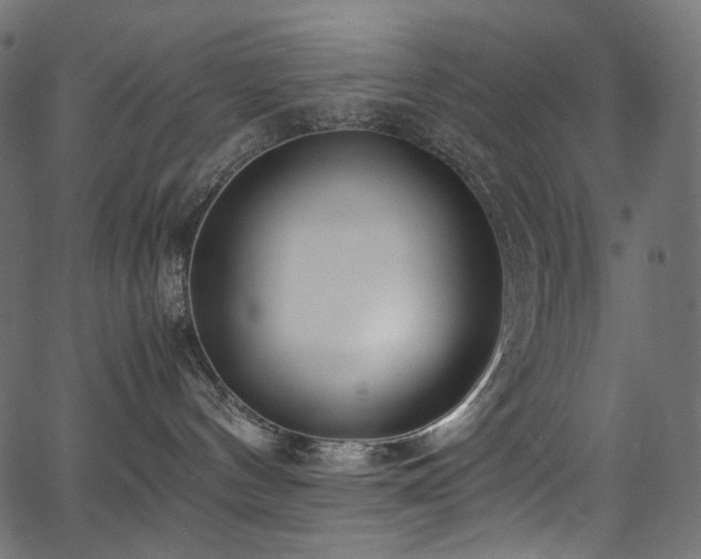 X0000067400144200603311333