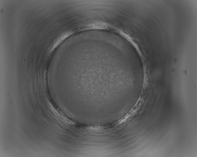 X0000067400154200603311333