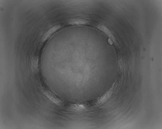 X0000067400159200603311333