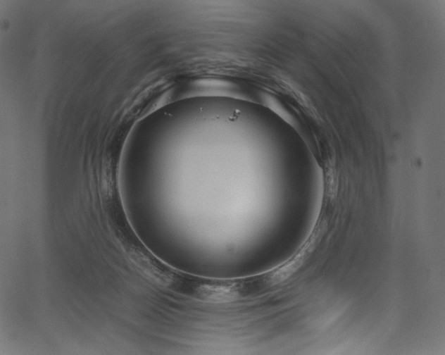 X0000067400170200603311333