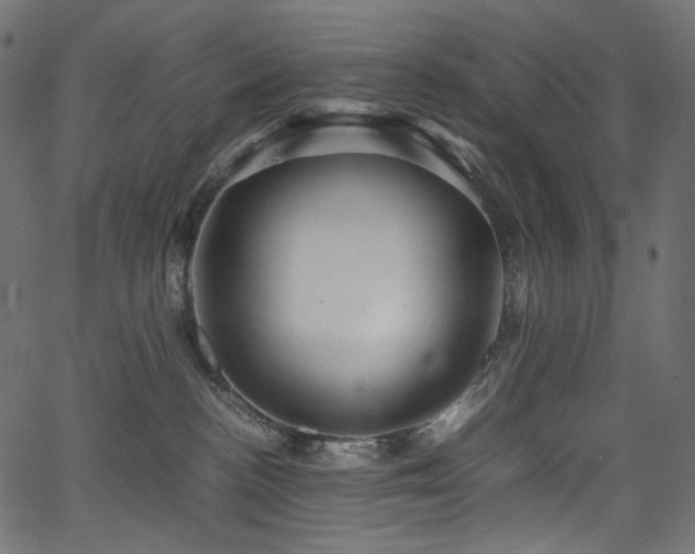 X0000067400188200603311333