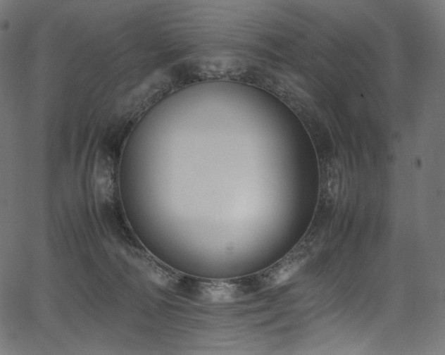 X0000067400226200603311332