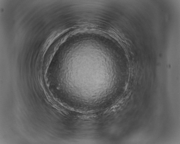 X0000067400241200603311331