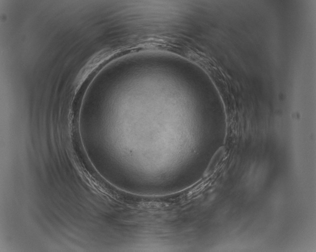 X0000067400242200603311331